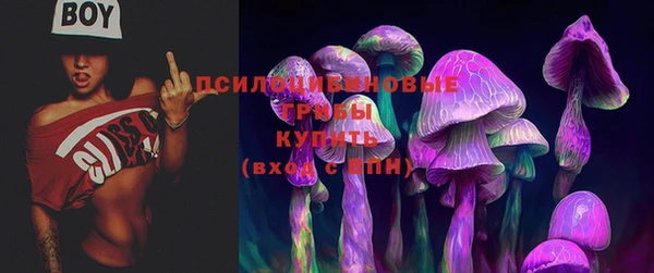 ALPHA PVP Баксан