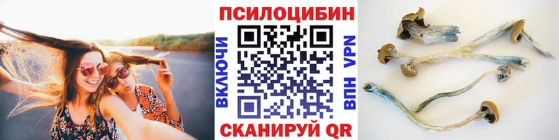 Псилоцибиновые грибы мухоморы  Ленинск 